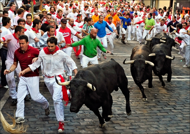 bullrun